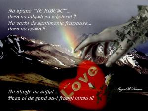 Nu spune te iubesc