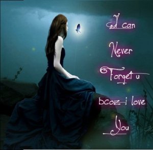 Beautiful Love quotes I can never forget you because i love you