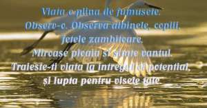 despre viata iubesc oamenii