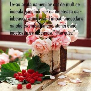 le-as-arata-oamenilor-cat-de-mult-se-inseala-gandi_ca1fe4c4f350a2