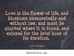 dh lawrence quote