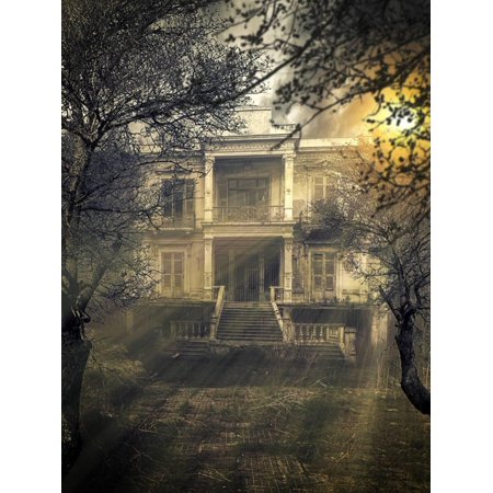 old abandonet haunted house hidden by increasing vegetation