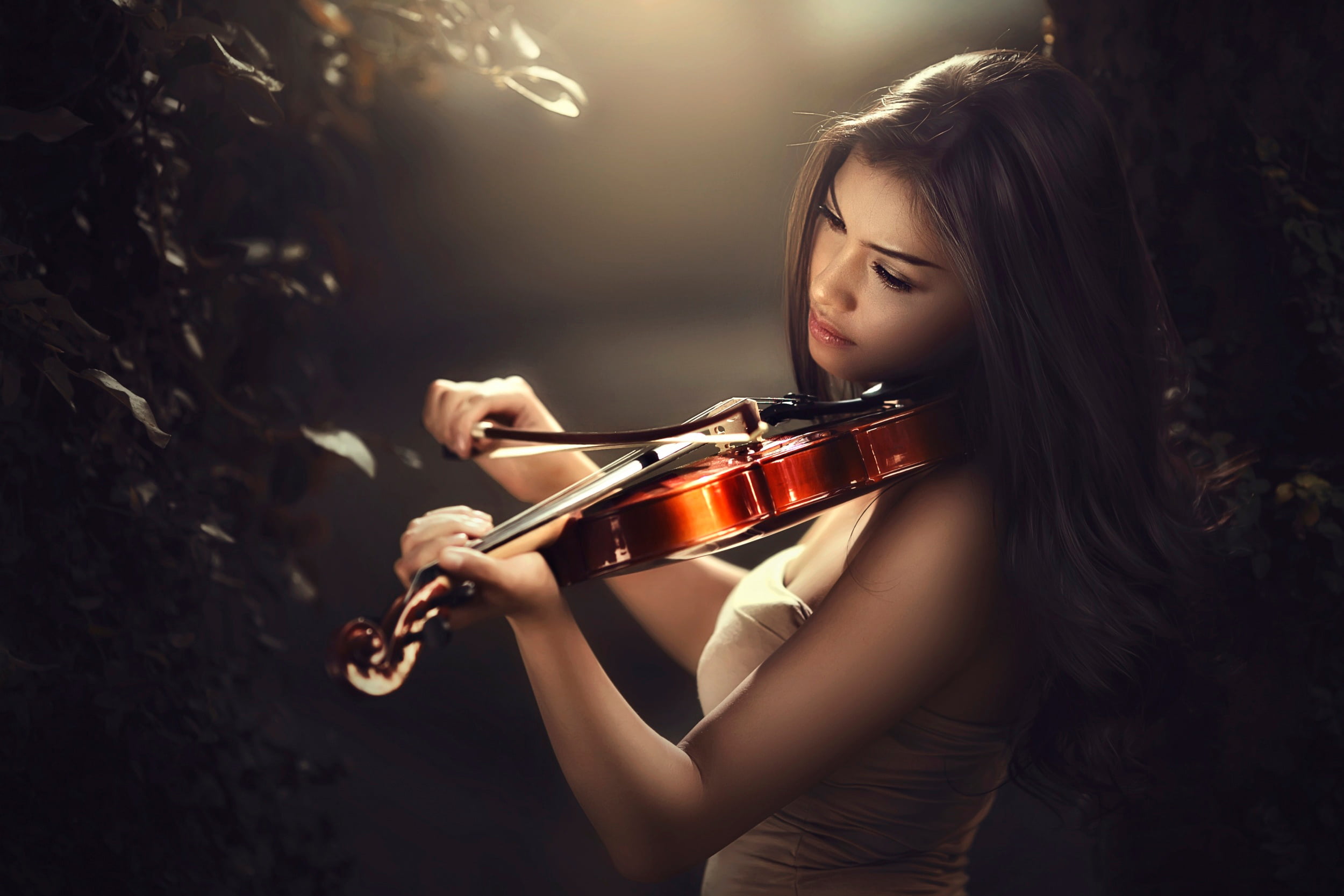 violin-bow-juliet-violinist