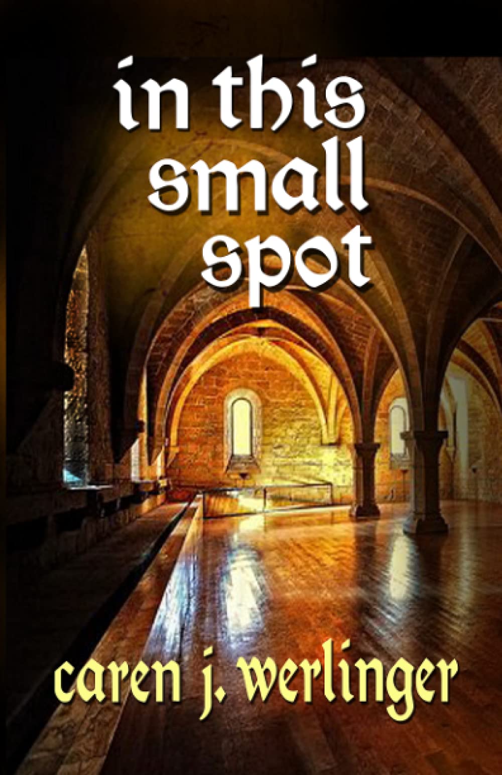 In This Small Spot by Caren J. Werlinger   ~ my&nbsp;review